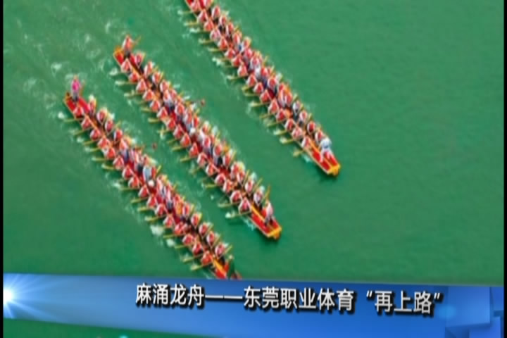 男子篮球队中的女翻译_体育·莞